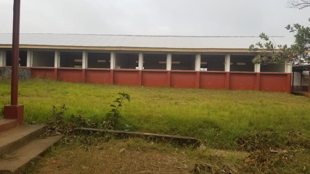 CHDHs UNIDO LIBERIA - Image 3